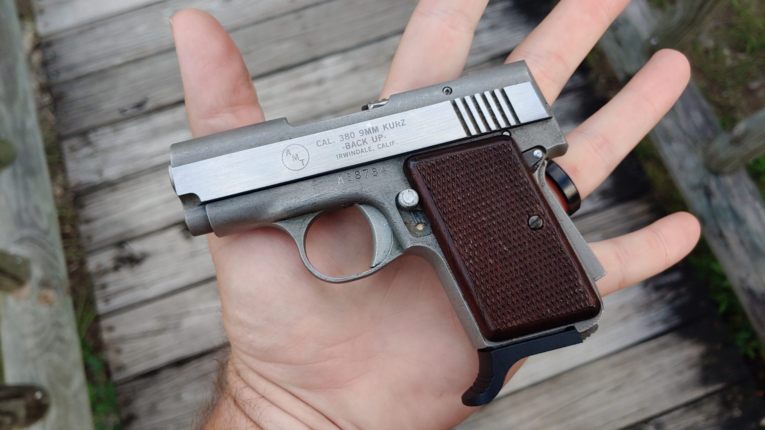 The .380 for Concealed Carry and Self…